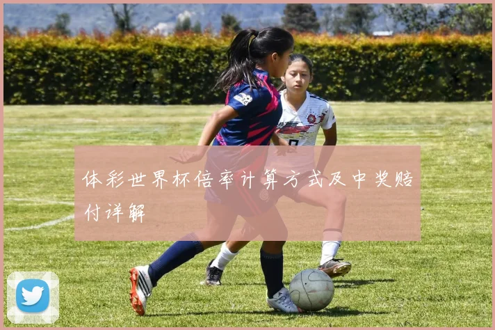 体彩世界杯倍率计算方式及中奖赔付详解