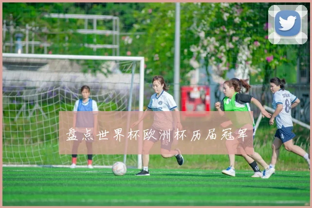 盘点世界杯欧洲杯历届冠军