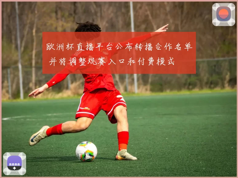 欧洲杯直播平台公布转播合作名单 并将调整观赛入口和付费模式