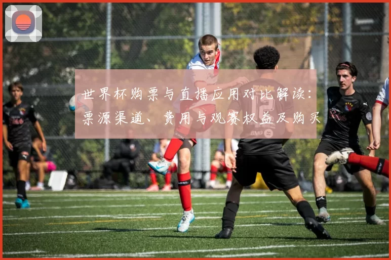 世界杯购票与直播应用对比解读：票源渠道、费用与观赛权益及购买流程要点