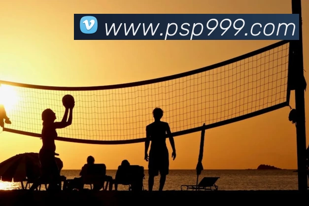 完美体育·(中国)官方网站 - WM SPORTS品牌故事